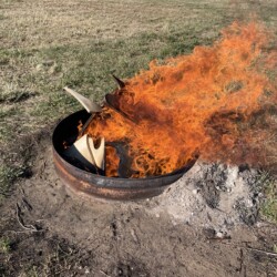 I am determined to me more discerning about what scrap wood gets to stay in the workshop after every project