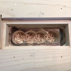 First level of material cleared with 1" straight bit with top follower bearing