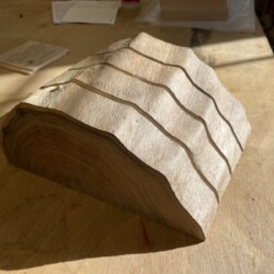 Bark and cambium removed with a rotary wire brush